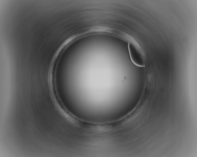 X0000113160947200909111012