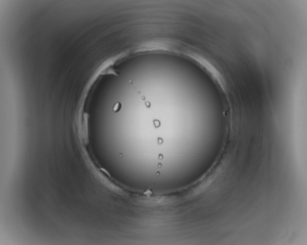 X0000113160949200909111012