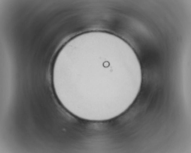 X0000113160950200909111012