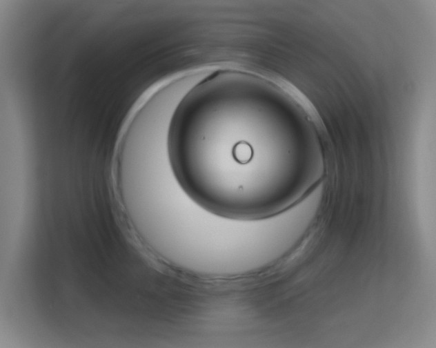 X0000113160956200909111012