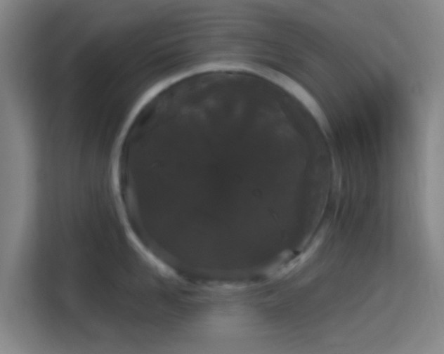 X0000113160958200909111012