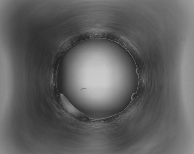 X0000113160964200909111011