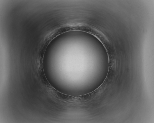 X0000113160966200909111011