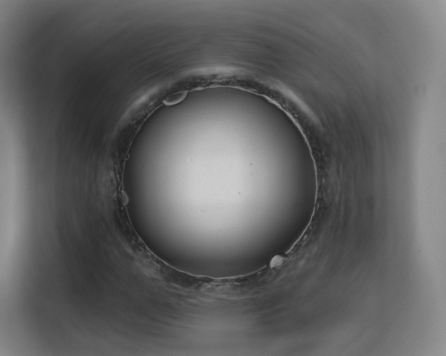 X0000113160967200909111011