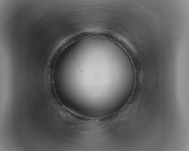 X0000113160968200909111011