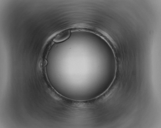 X0000113160971200909111011