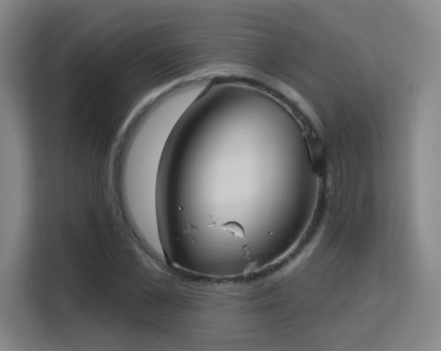 X0000113160973200909111011