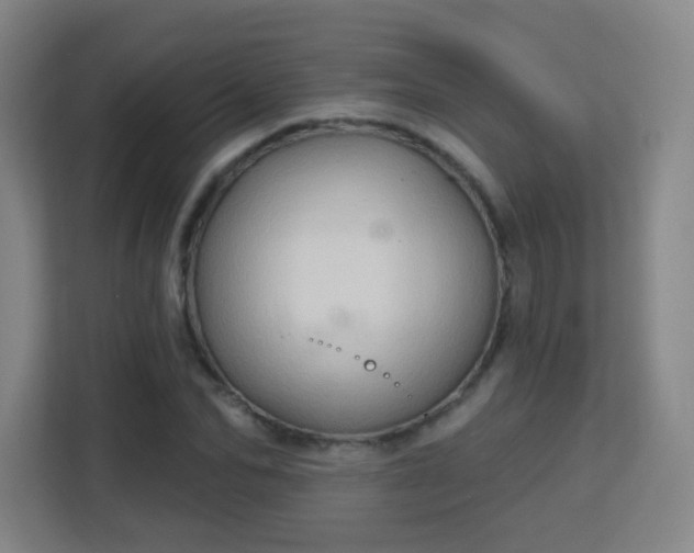 X0000113160974200909111011