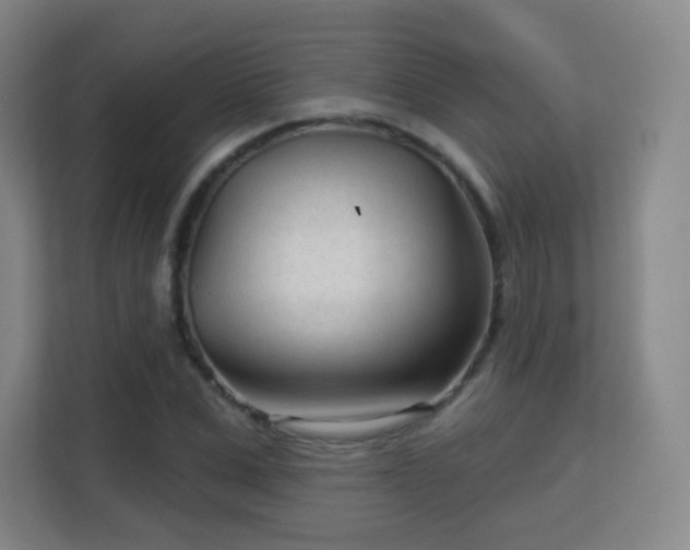 X0000113160975200909111011