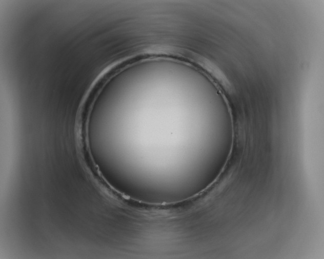 X0000113160976200909111011