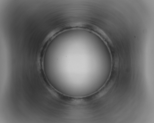 X0000113160978200909111011