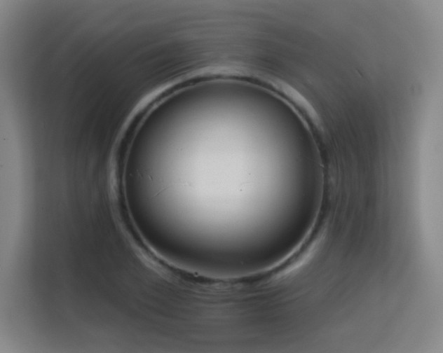 X0000113160981200909111011