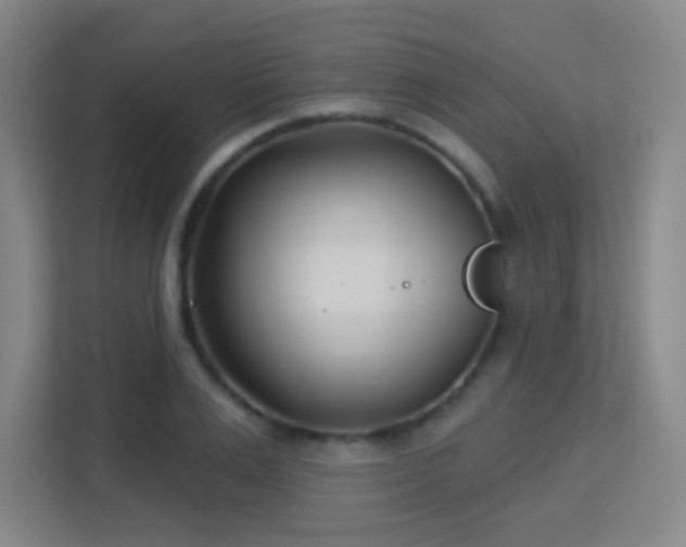 X0000113160983200909111011