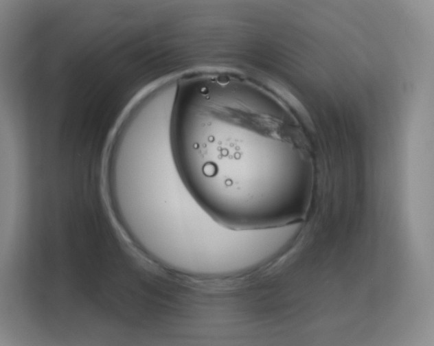 X0000113160984200909111011