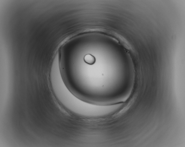 X0000113160985200909111011