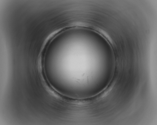 X0000113160987200909111011