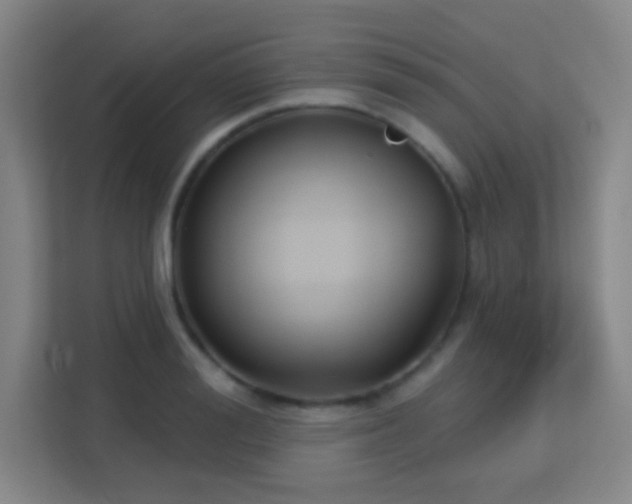 X0000113160988200909111011