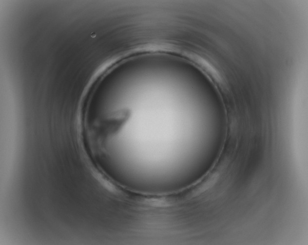 X0000113160990200909111011