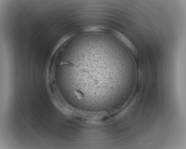 X0000113160994200909111011