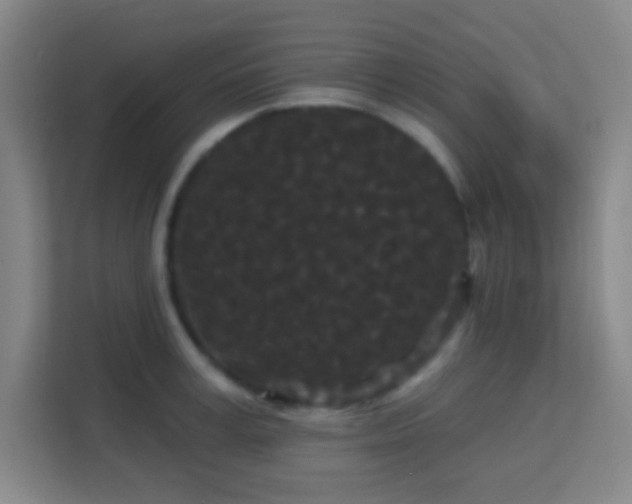 X0000113160995200909111011