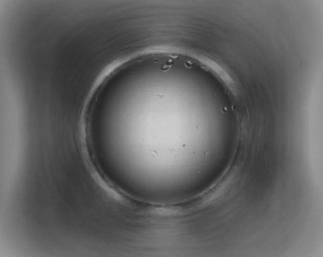 X0000113160998200909111011