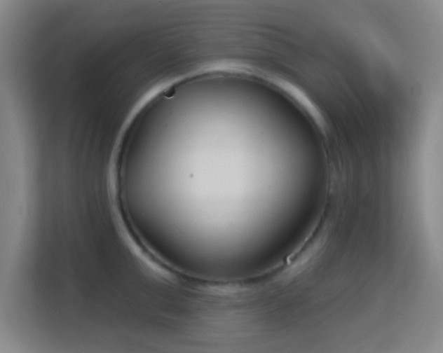 X0000113160999200909111011