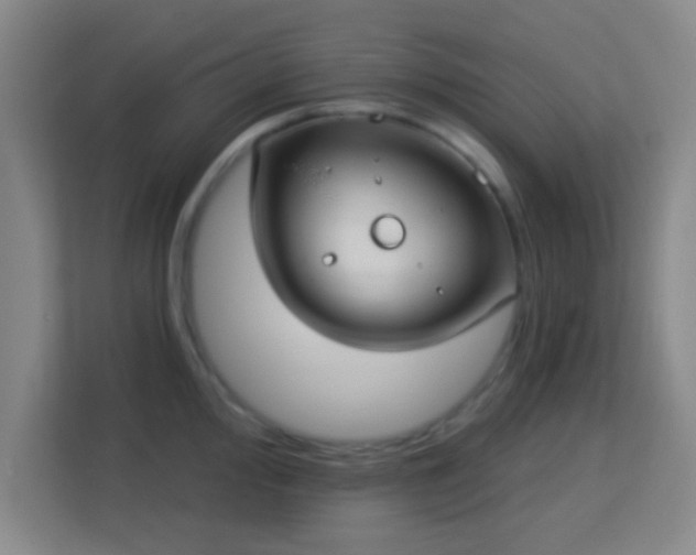 X0000113161000200909111011