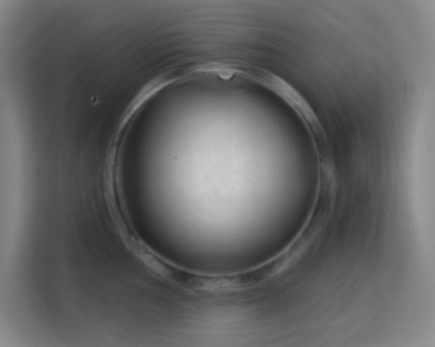 X0000113161002200909111011