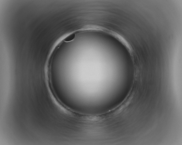 X0000113161003200909111011