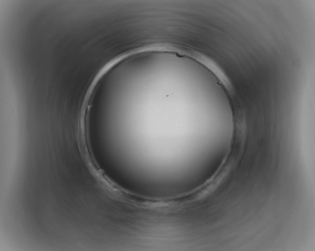 X0000113161004200909111011