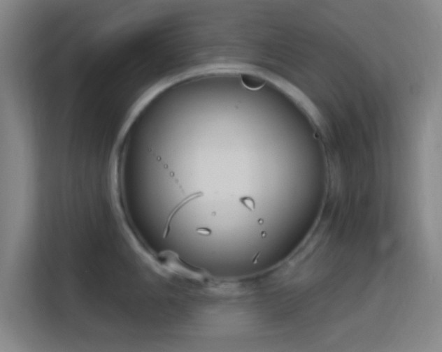 X0000113161006200909111011