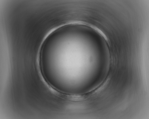 X0000113161007200909111011