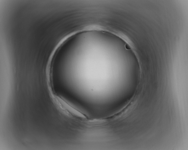 X0000113161008200909111011