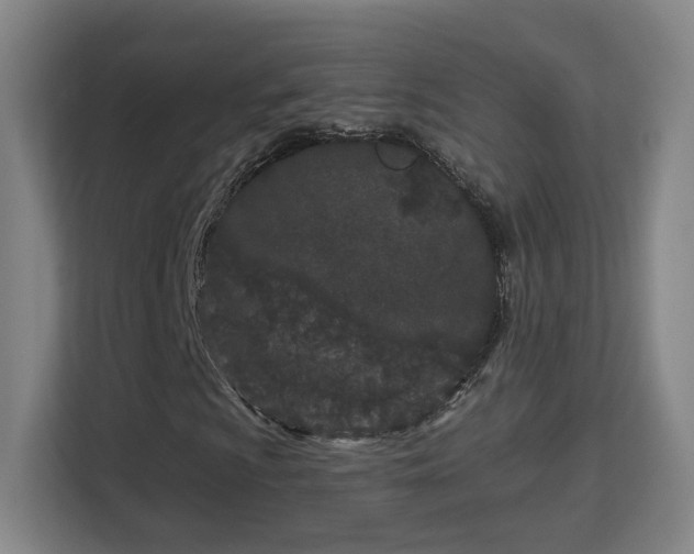 X0000113161009200909111010