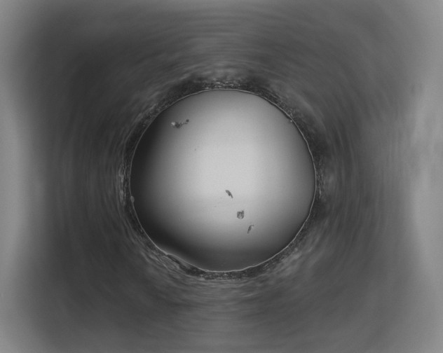 X0000113161010200909111010