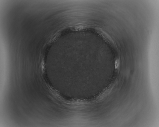 X0000113161011200909111010