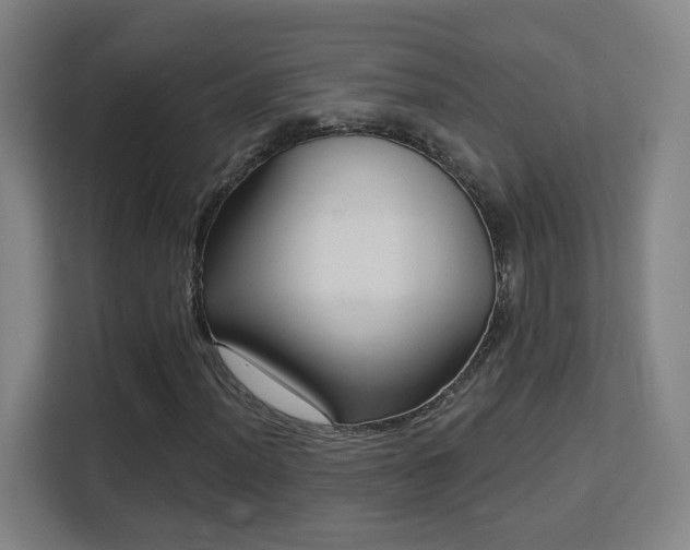 X0000113161012200909111010