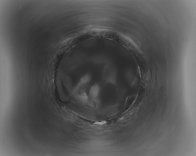 X0000113161013200909111010