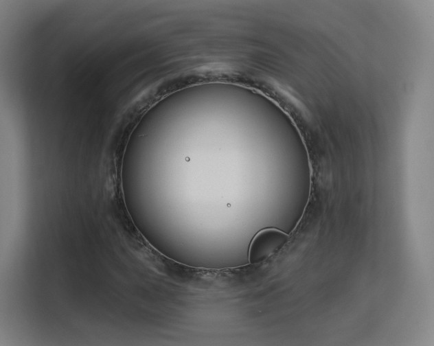 X0000113161015200909111010