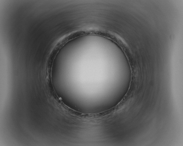 X0000113161016200909111010