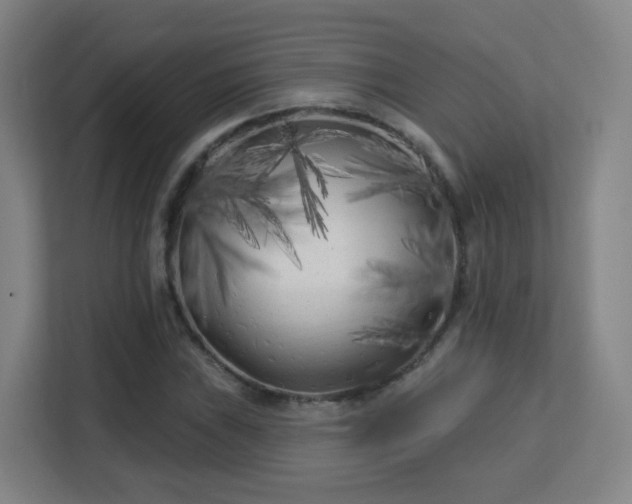 X0000113161019200909111010