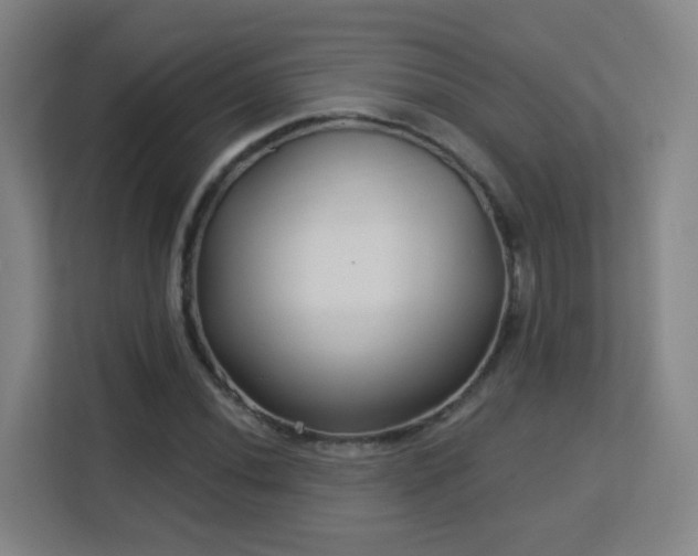 X0000113161020200909111010