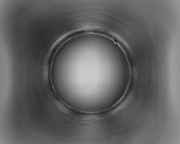 X0000113161021200909111010