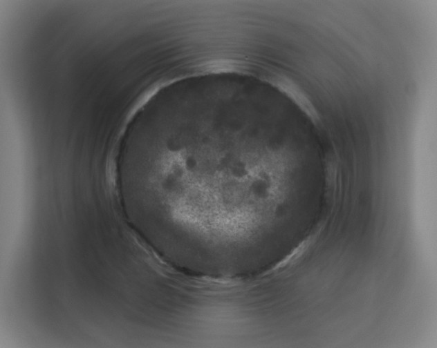 X0000113161023200909111010