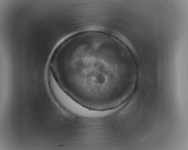 X0000113161024200909111010