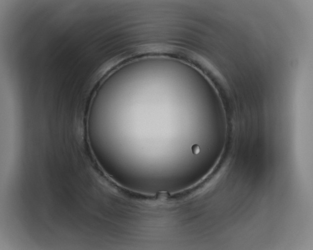 X0000113161025200909111010