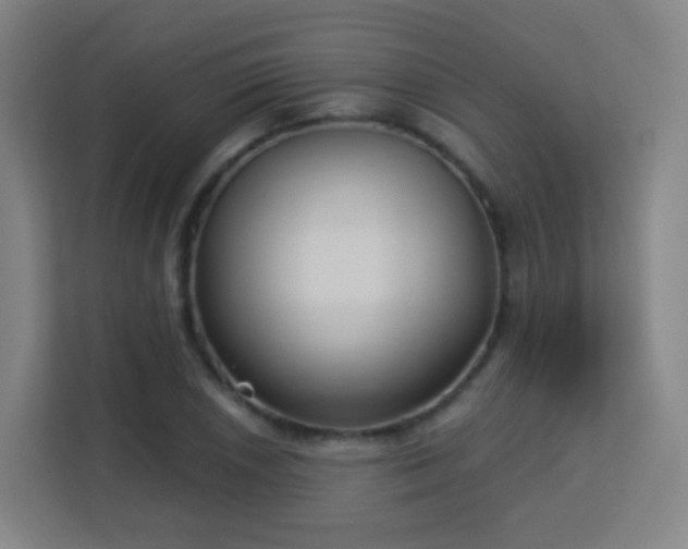 X0000113161026200909111010