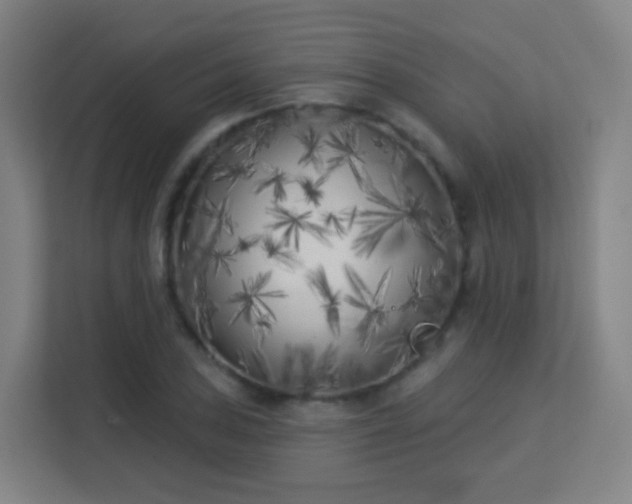 X0000113161027200909111010