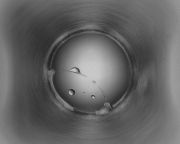 X0000113161029200909111010