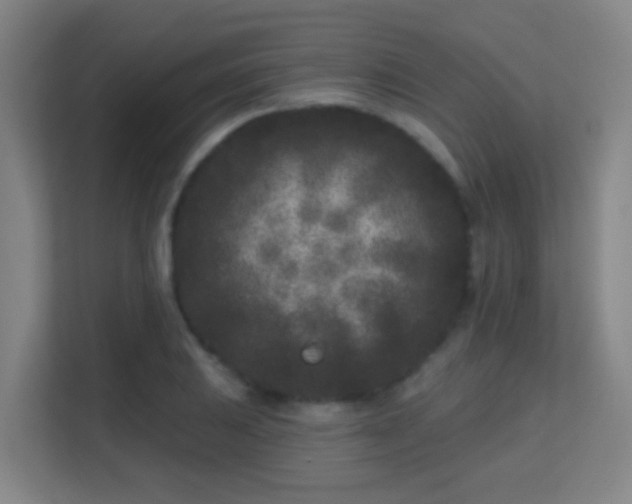 X0000113161031200909111010